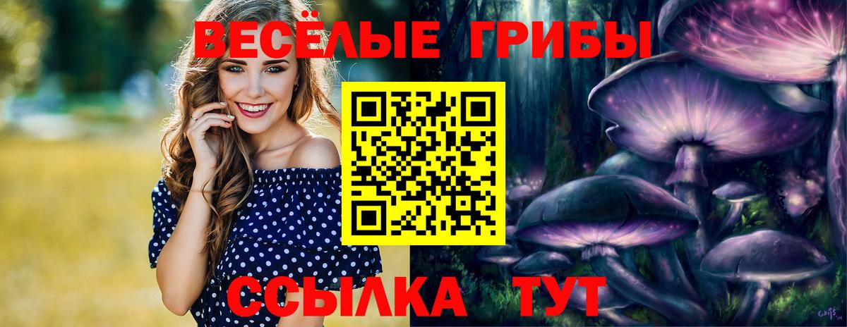 хочу   Псилоцибиновые грибы мухоморы  Вход с VPN  Елизово 